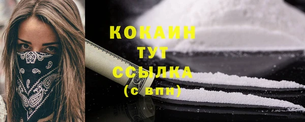 хмурый Абаза