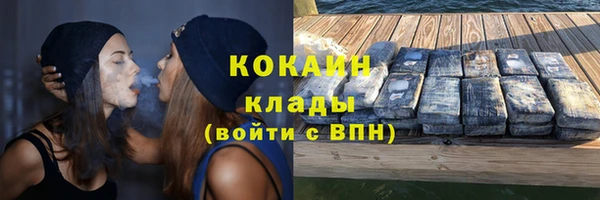 хмурый Абаза