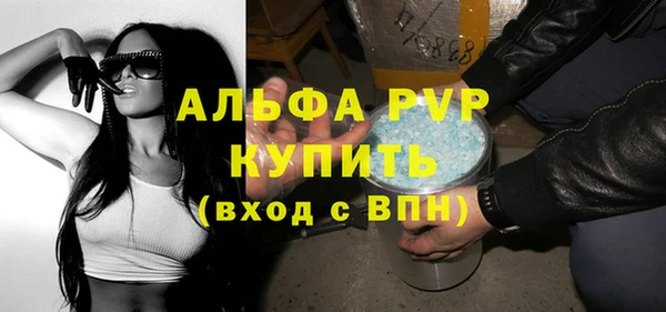 хмурый Абаза