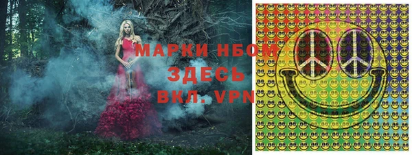 хмурый Абаза