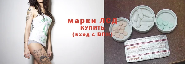 хмурый Абаза