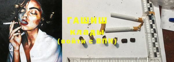 хмурый Абаза