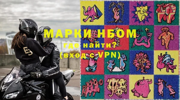 хмурый Абаза