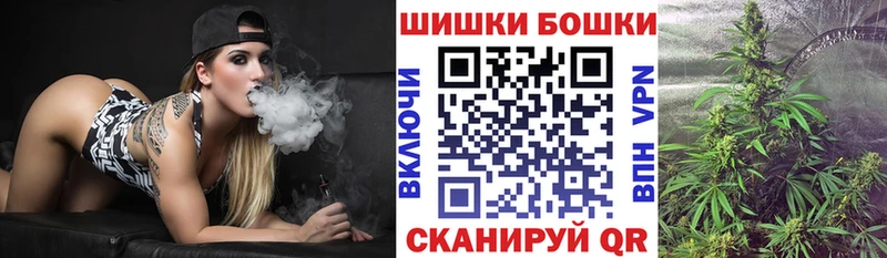 где купить наркотик  Подпорожье  Шишки марихуана сатива 
